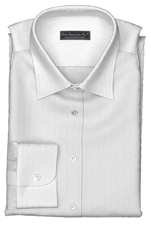 Wrinkle Free 100/2ドビー ホワイトストライプ(TY92401-HWF)